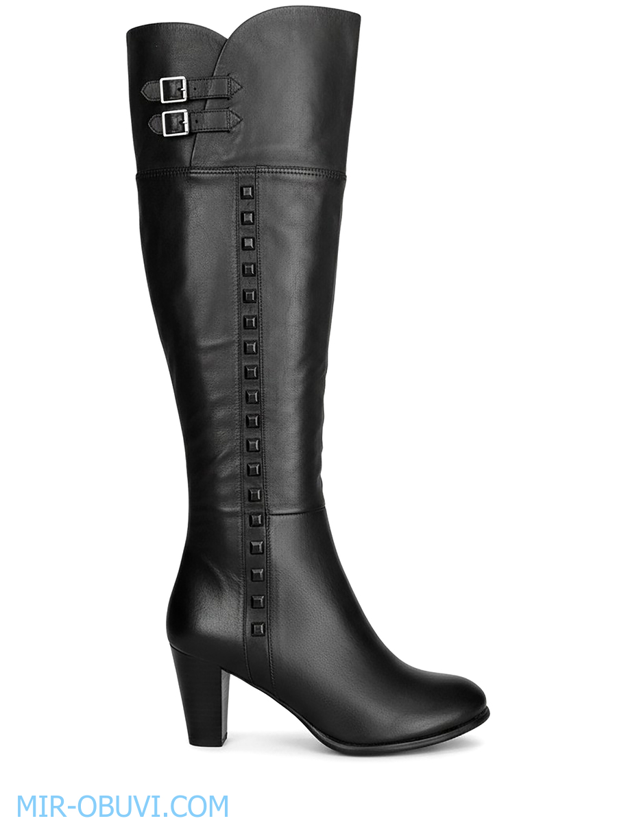 Ƴ���� ����� ������ Bootes. ��� 5.