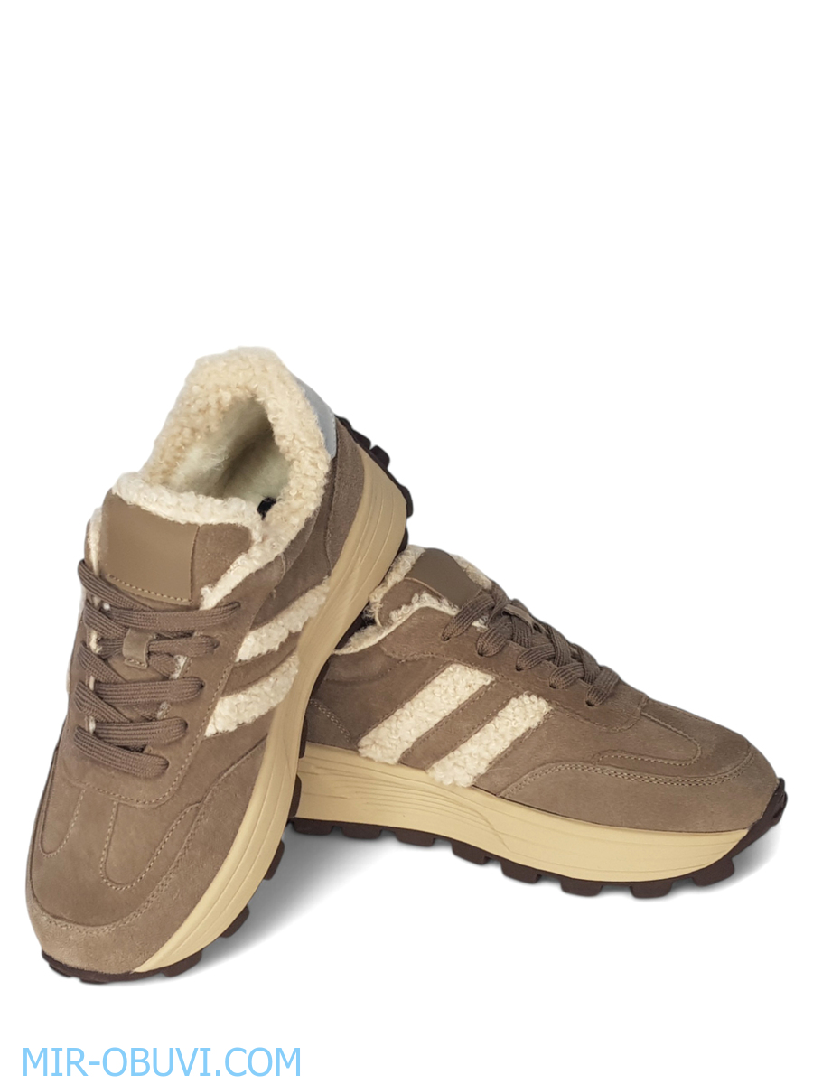 Ƴ���� ����� ������� Wollen. ��� 13.