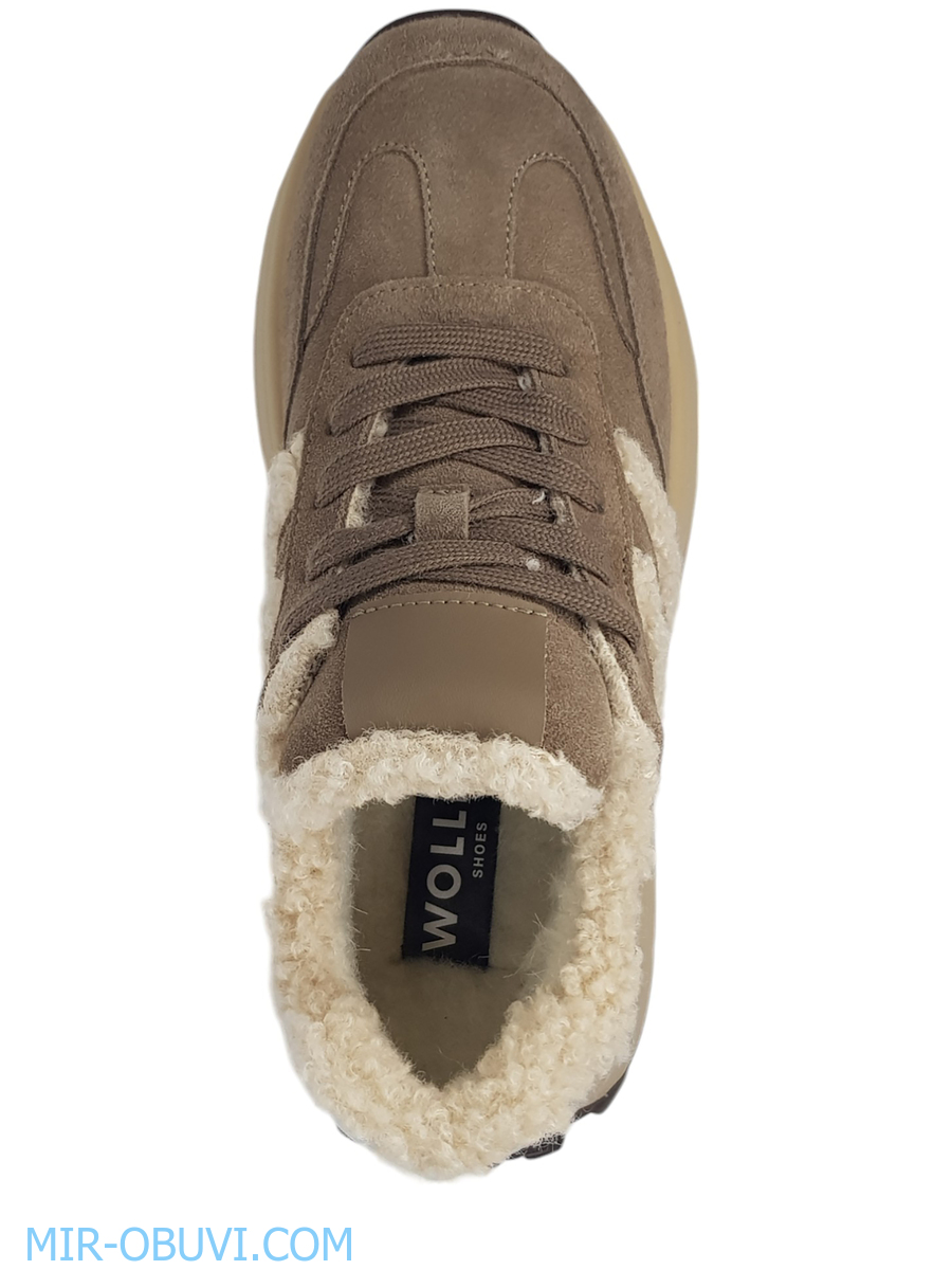 Ƴ���� ����� ������� Wollen. ��� 6.