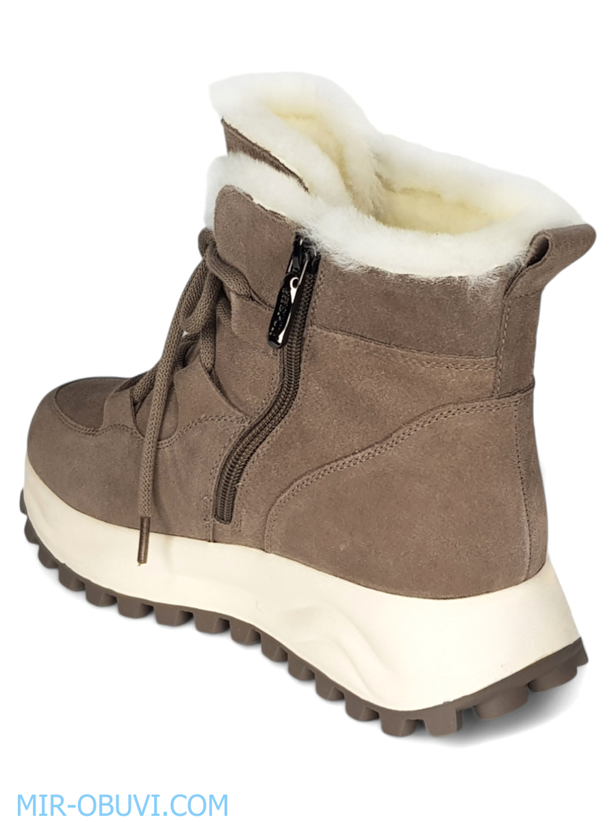 Ƴ���� ����� ��������� �������� Spur. ��� 11.