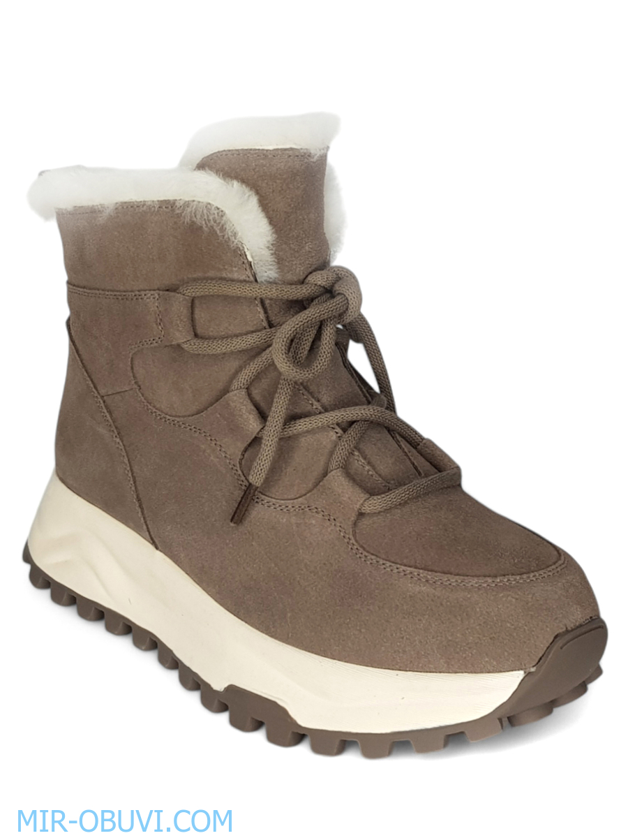 Ƴ���� ����� ��������� �������� Spur. ��� 12.