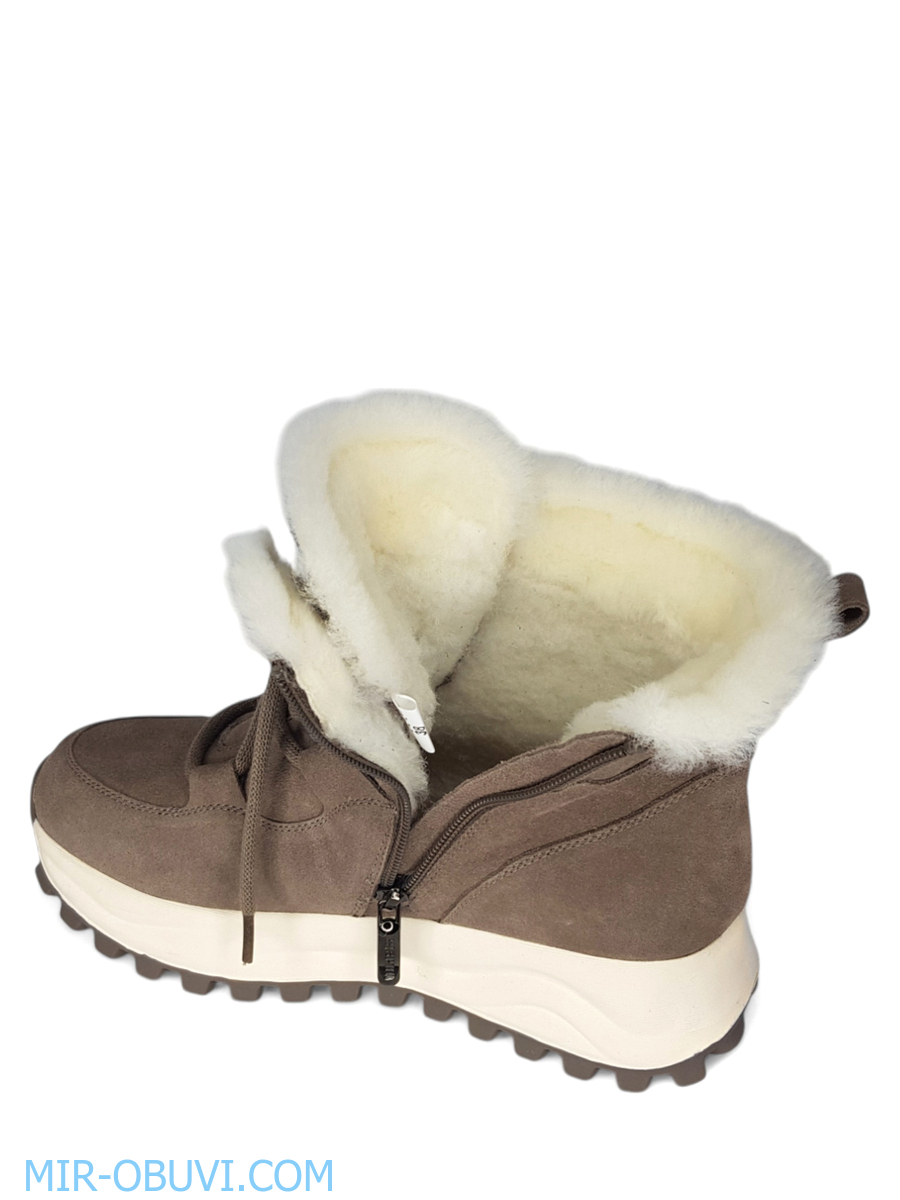 Ƴ���� ����� ��������� �������� Spur. ��� 13.