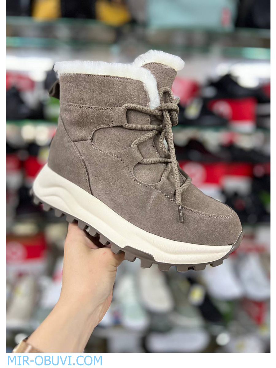 Ƴ���� ����� ��������� �������� Spur. ��� 17.