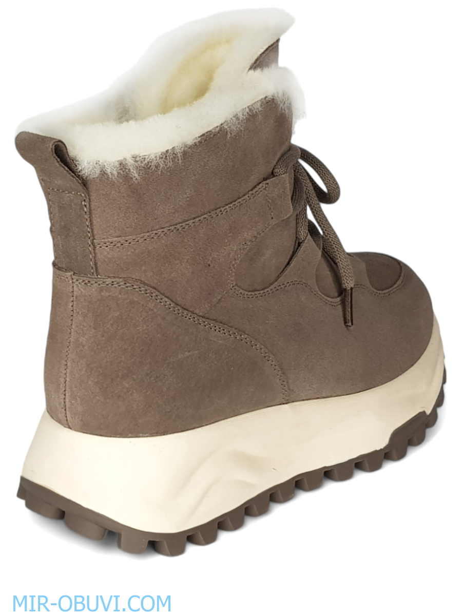 Ƴ���� ����� ��������� �������� Spur. ��� 2.