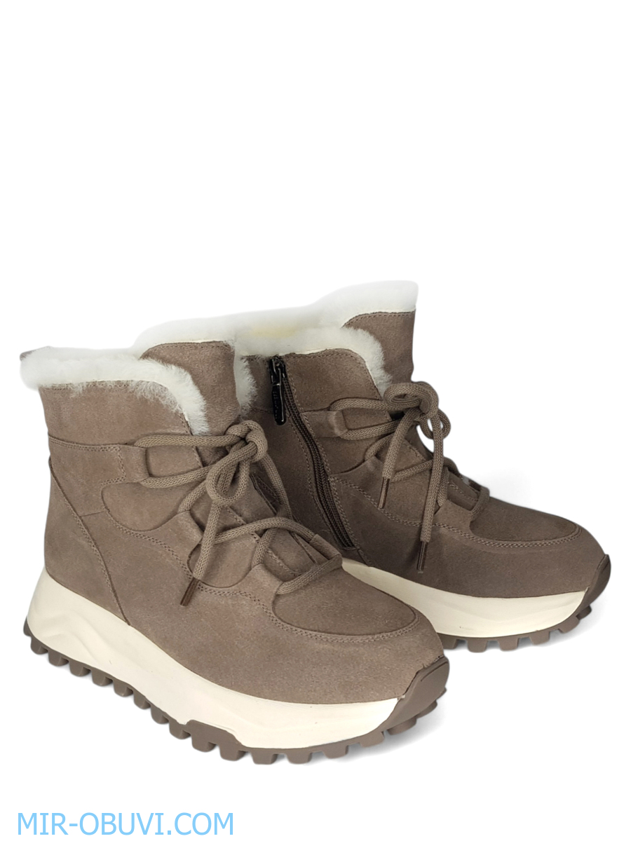 Ƴ���� ����� ��������� �������� Spur. ��� 4.