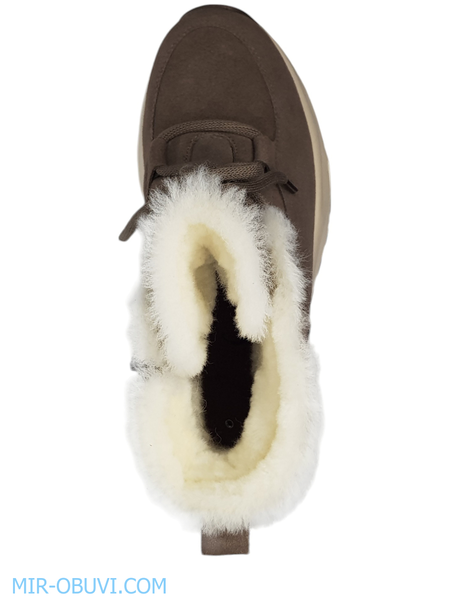 Ƴ���� ����� ��������� �������� Spur. ��� 6.