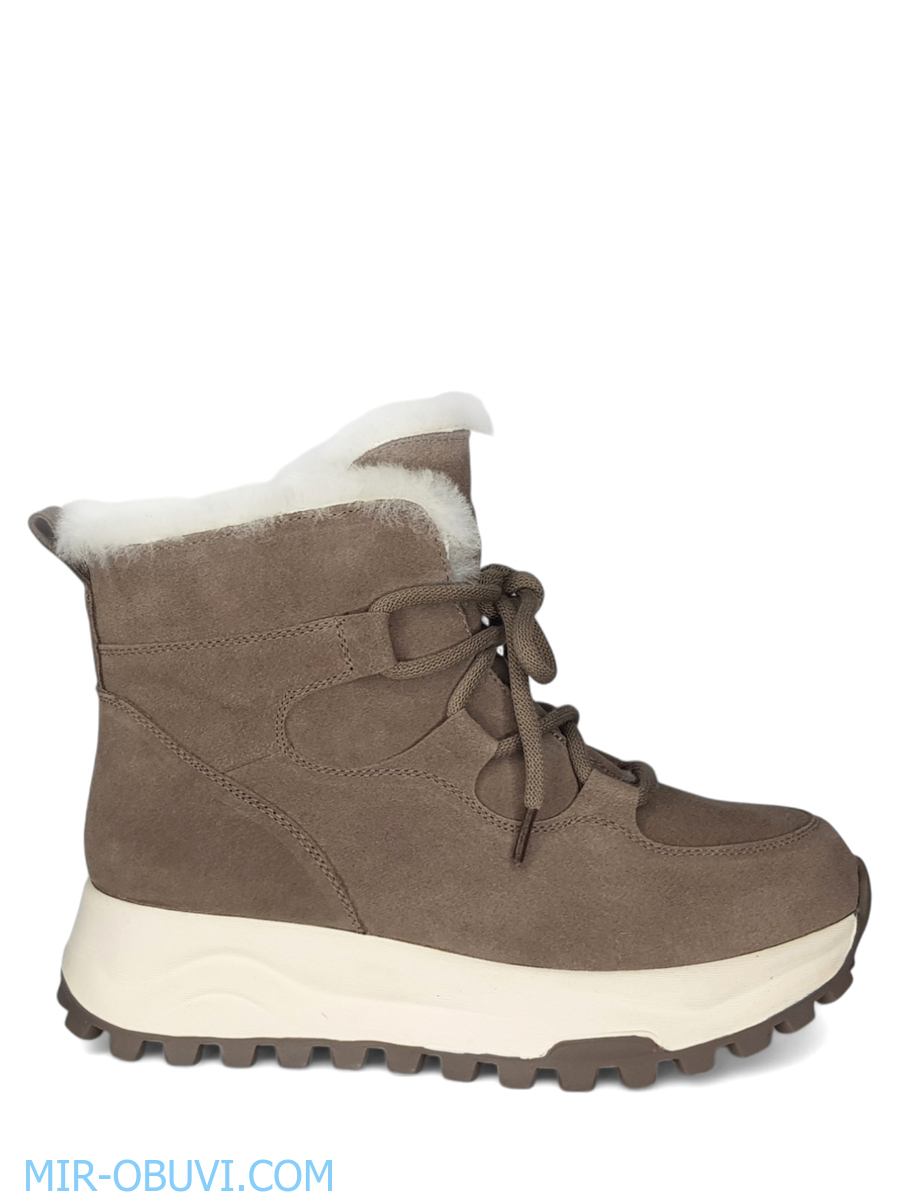 Ƴ���� ����� ��������� �������� Spur. ��� 7.