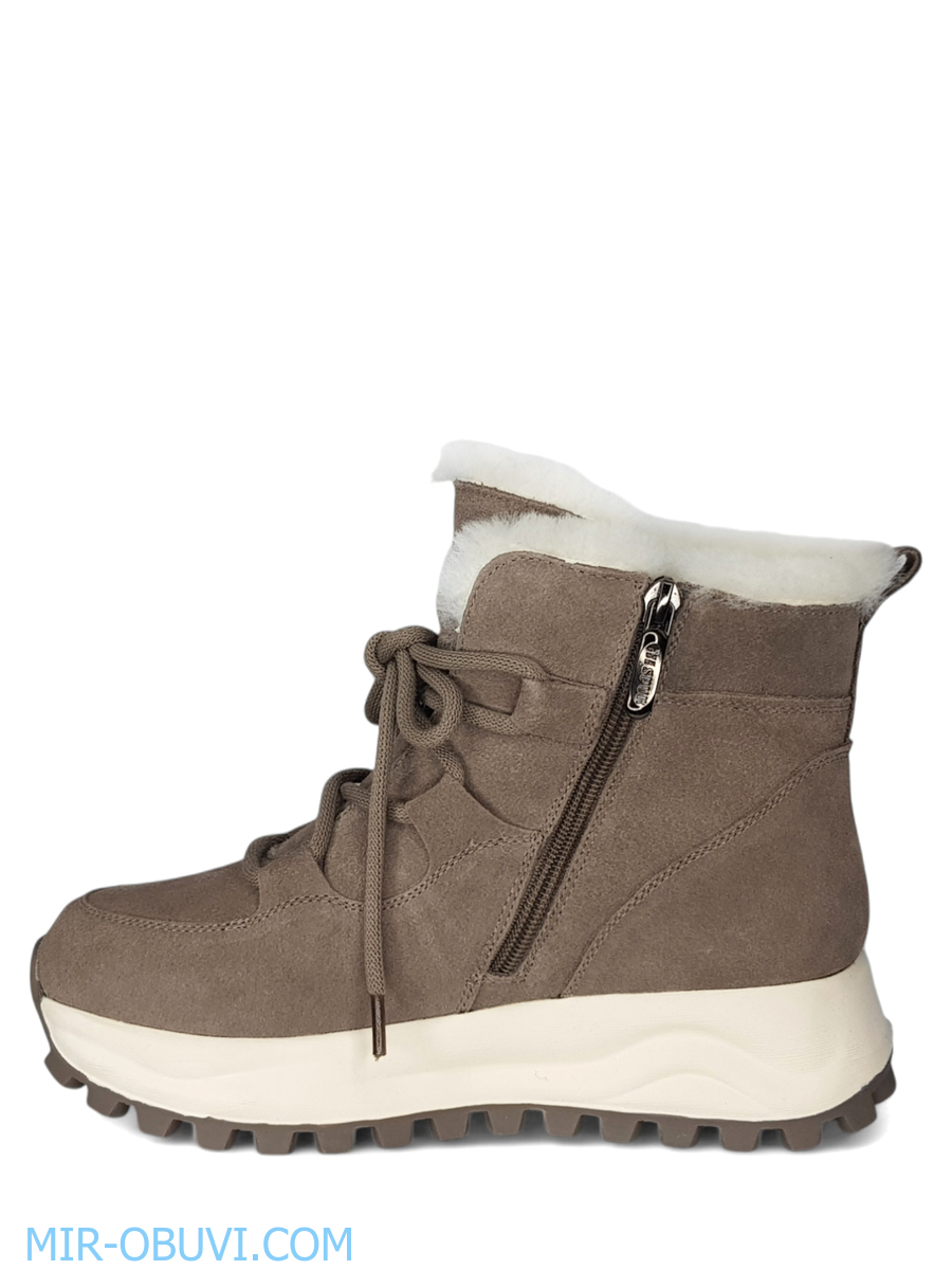 Ƴ���� ����� ��������� �������� Spur. ��� 8.