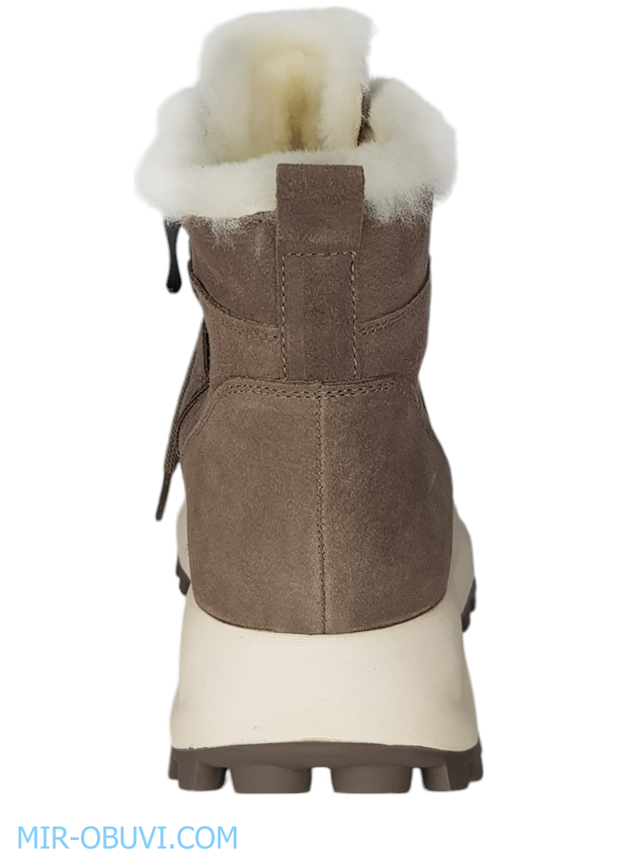 Ƴ���� ����� ��������� �������� Spur. ��� 10.