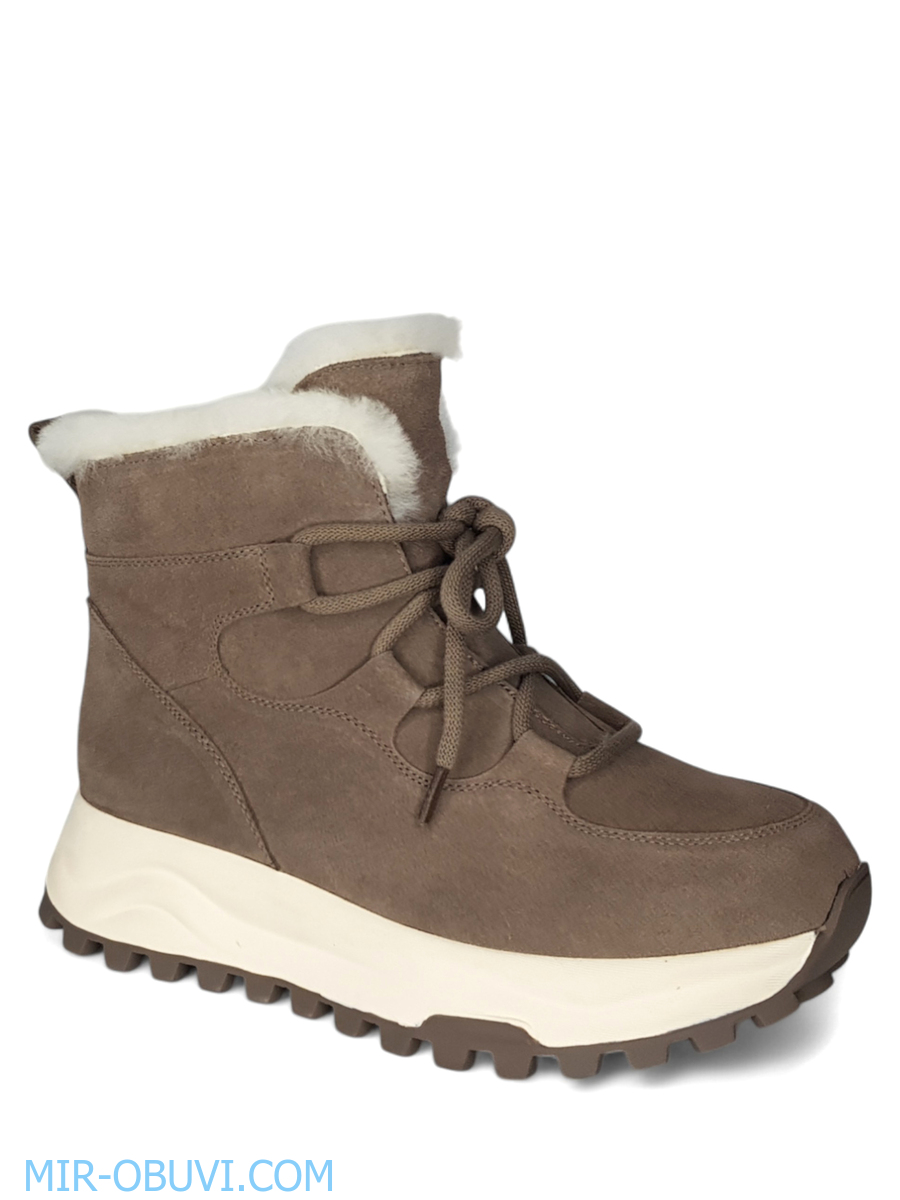 Ƴ���� ����� ��������� �������� Spur. ��� 1.