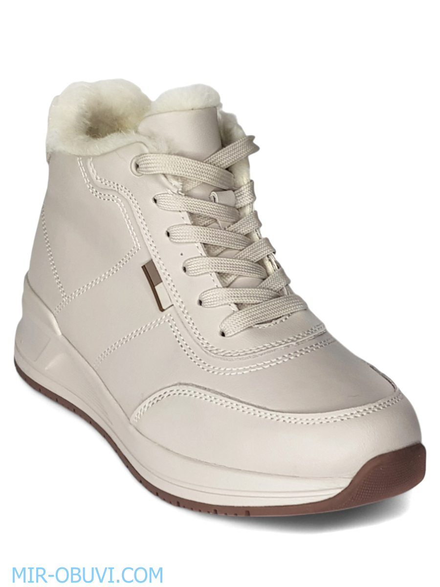 Ƴ���� ����� ��������� �������� Wollen. ��� 12.