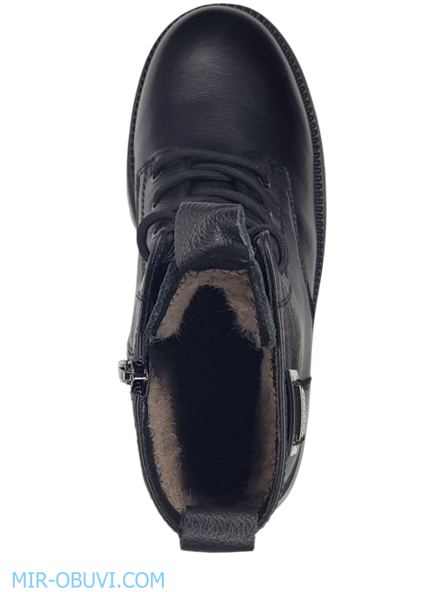 Ƴ���� ����� ����������� �������� Wollen. ��� 6.