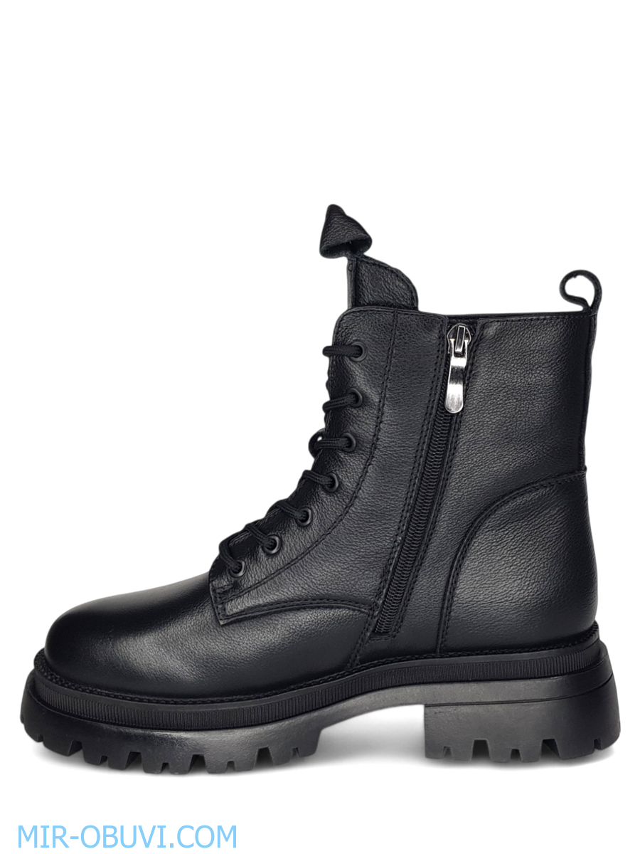 Ƴ���� ����� ����������� �������� Wollen. ��� 8.