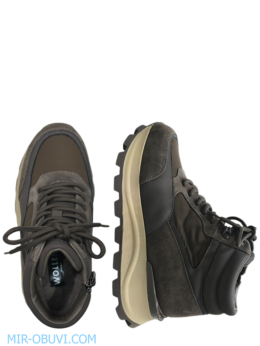 Ƴ���� ����� ��������� �������� Wollen. ��� 2.