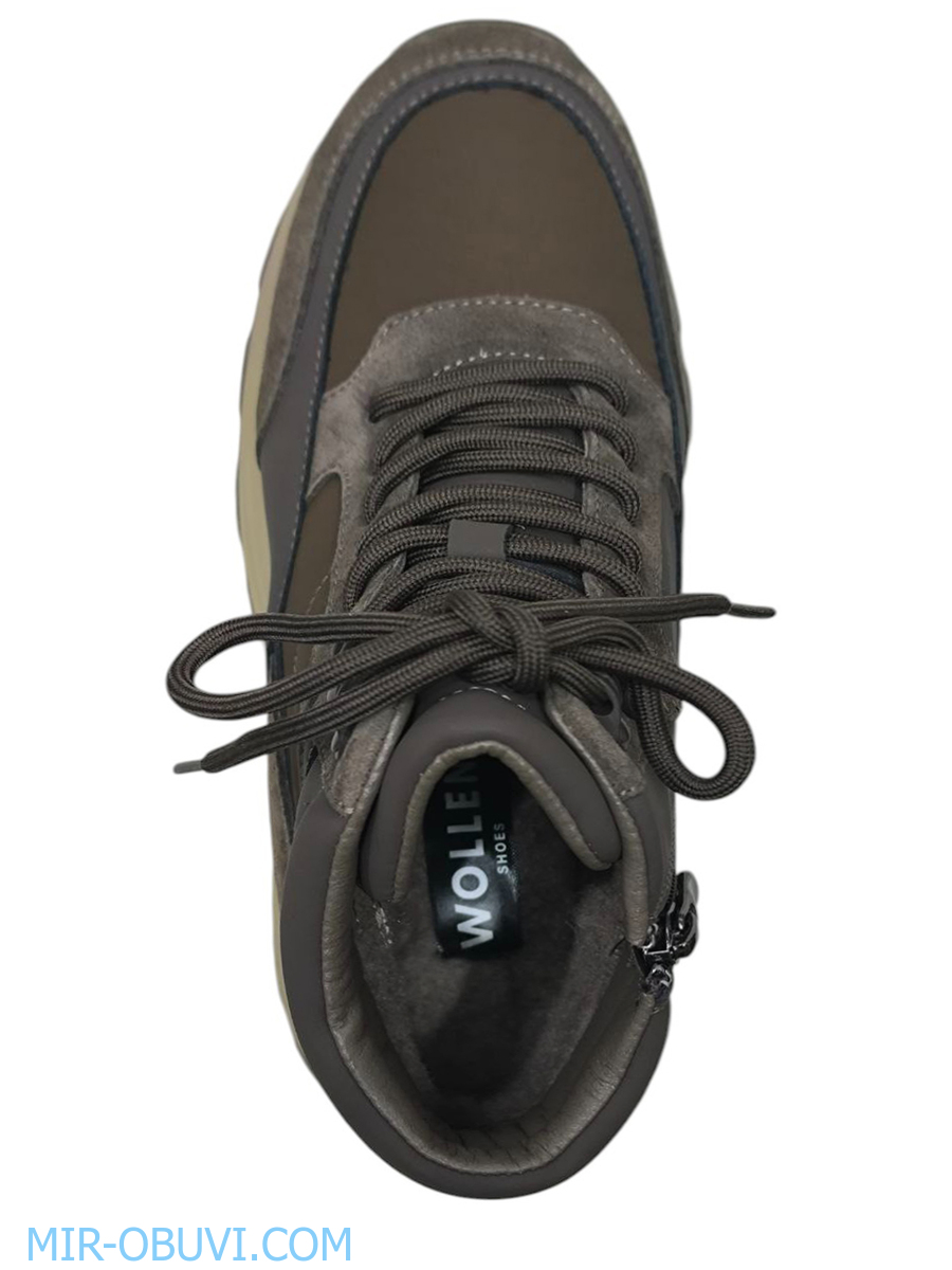 Ƴ���� ����� ��������� �������� Wollen. ��� 6.