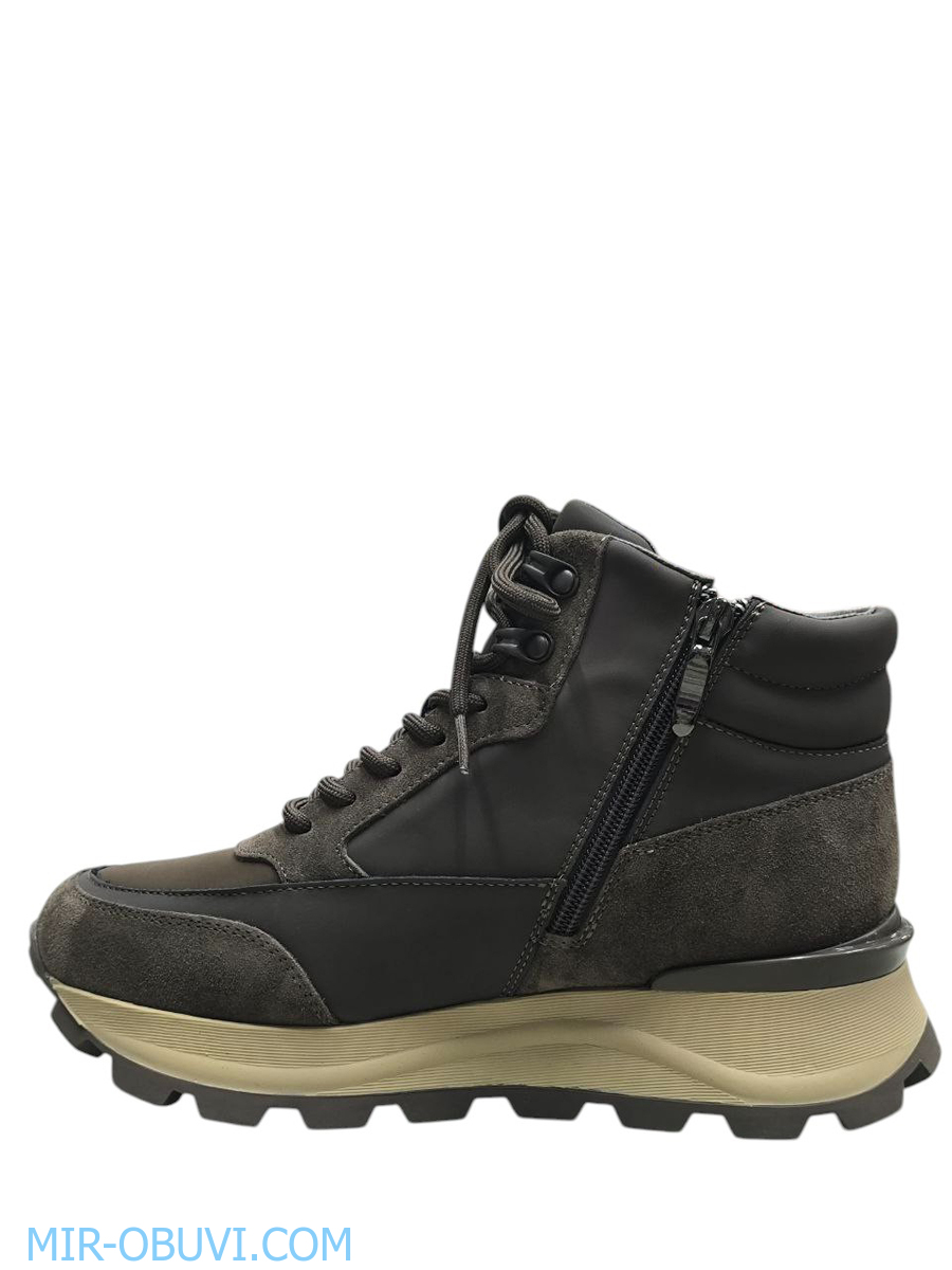 Ƴ���� ����� ��������� �������� Wollen. ��� 8.