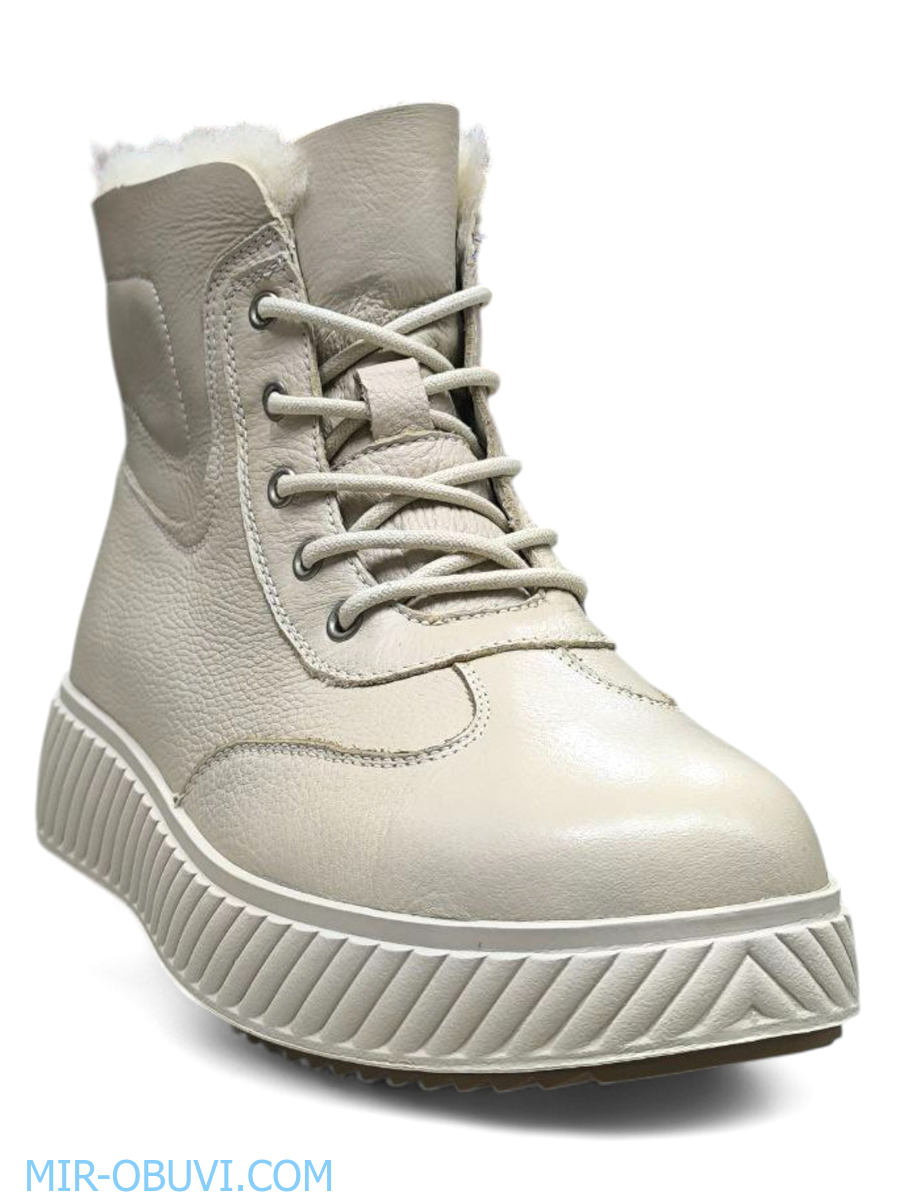 Ƴ���� ����� ����������� �������� Wollen. ��� 11.