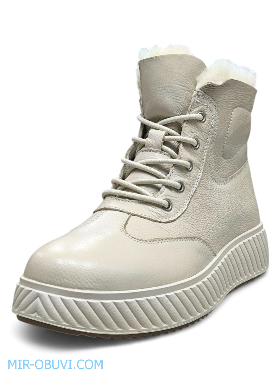 Ƴ���� ����� ����������� �������� Wollen. ��� 3.