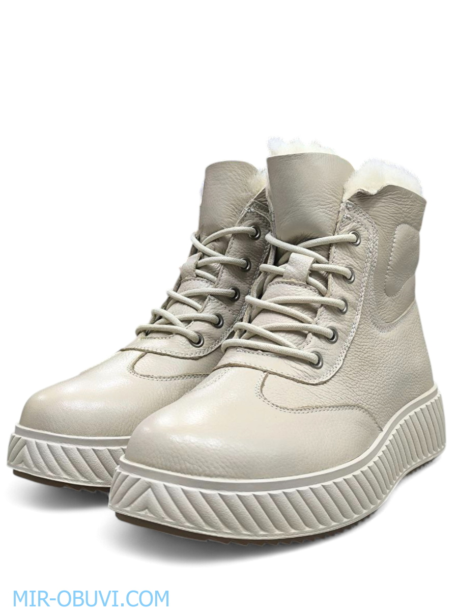 Ƴ���� ����� ����������� �������� Wollen. ��� 4.