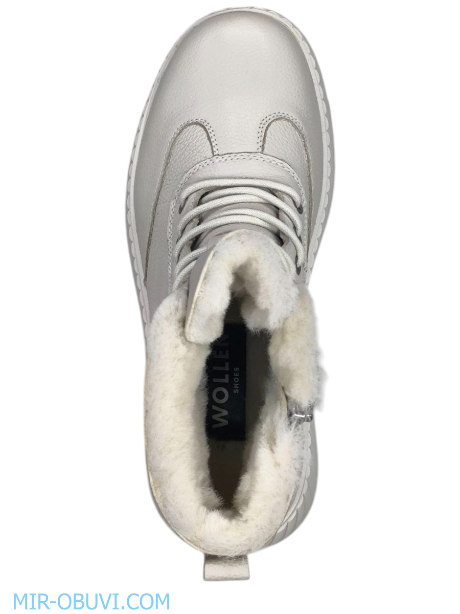 Ƴ���� ����� ����������� �������� Wollen. ��� 6.