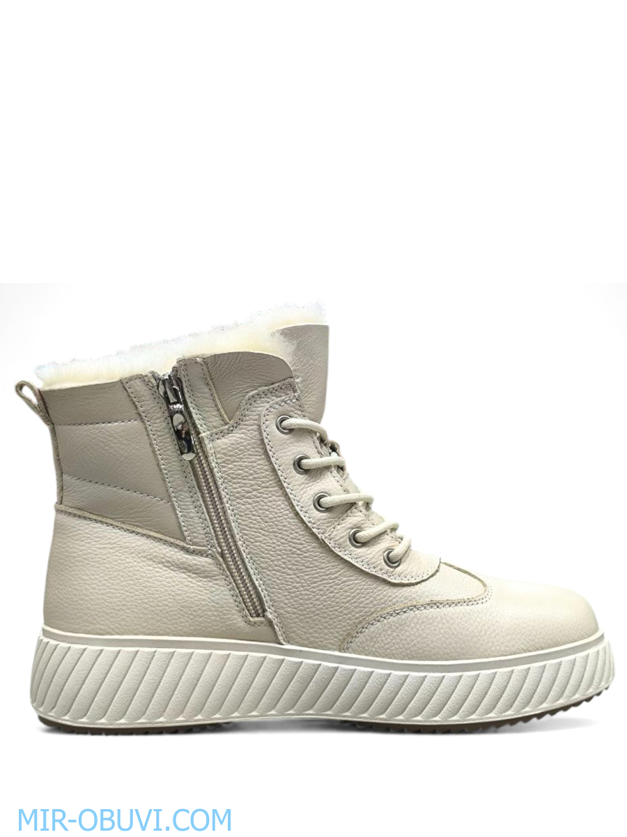 Ƴ���� ����� ����������� �������� Wollen. ��� 7.