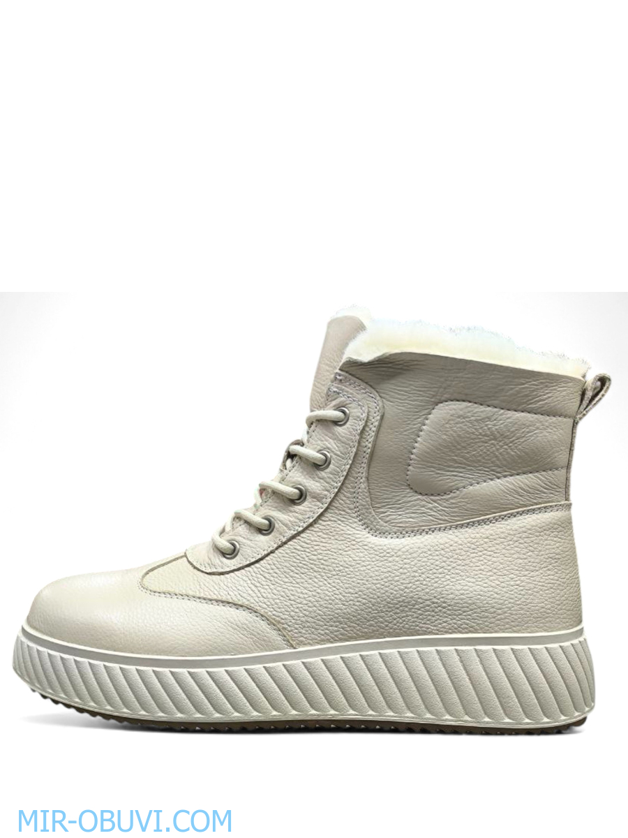 Ƴ���� ����� ����������� �������� Wollen. ��� 8.