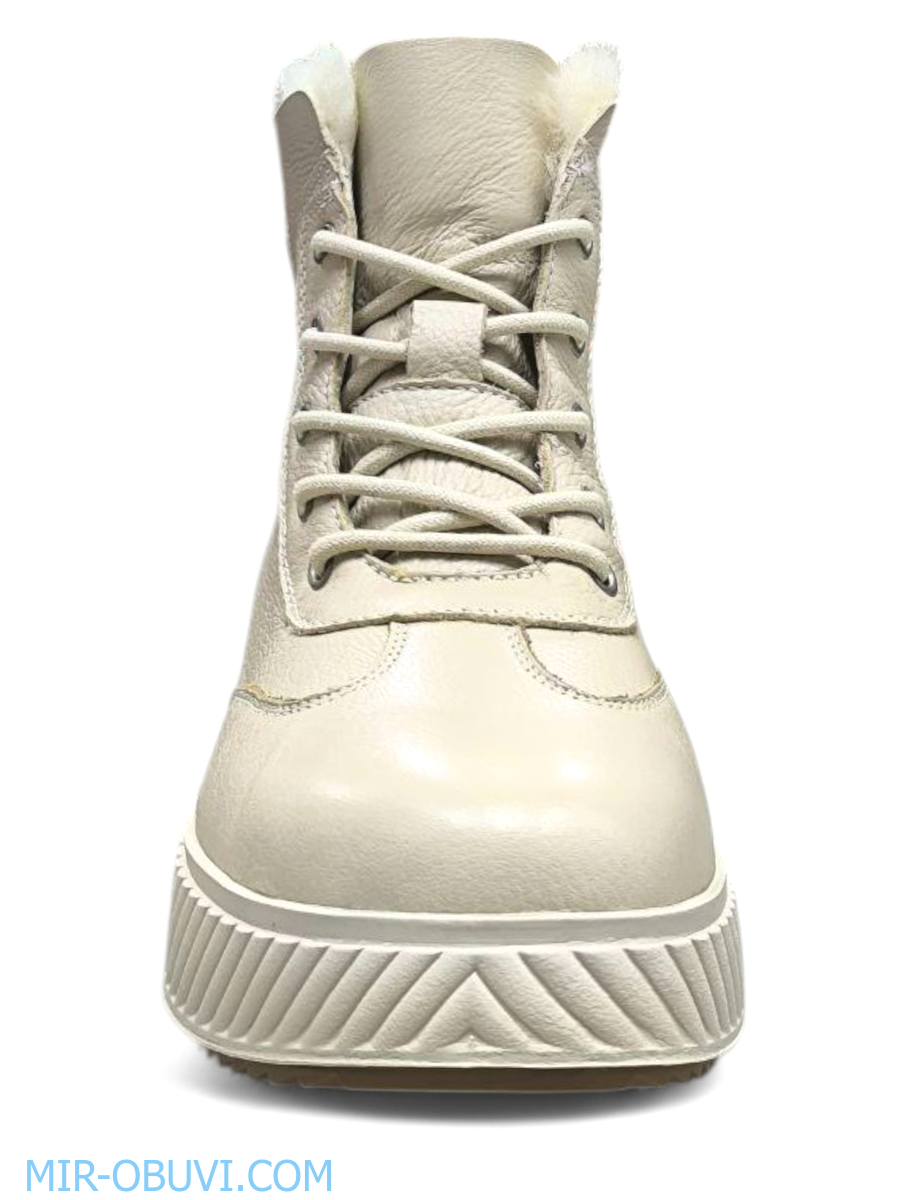 Ƴ���� ����� ����������� �������� Wollen. ��� 9.