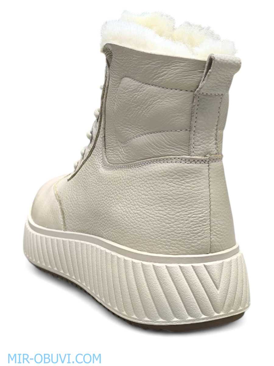 Ƴ���� ����� ����������� �������� Wollen. ��� 10.