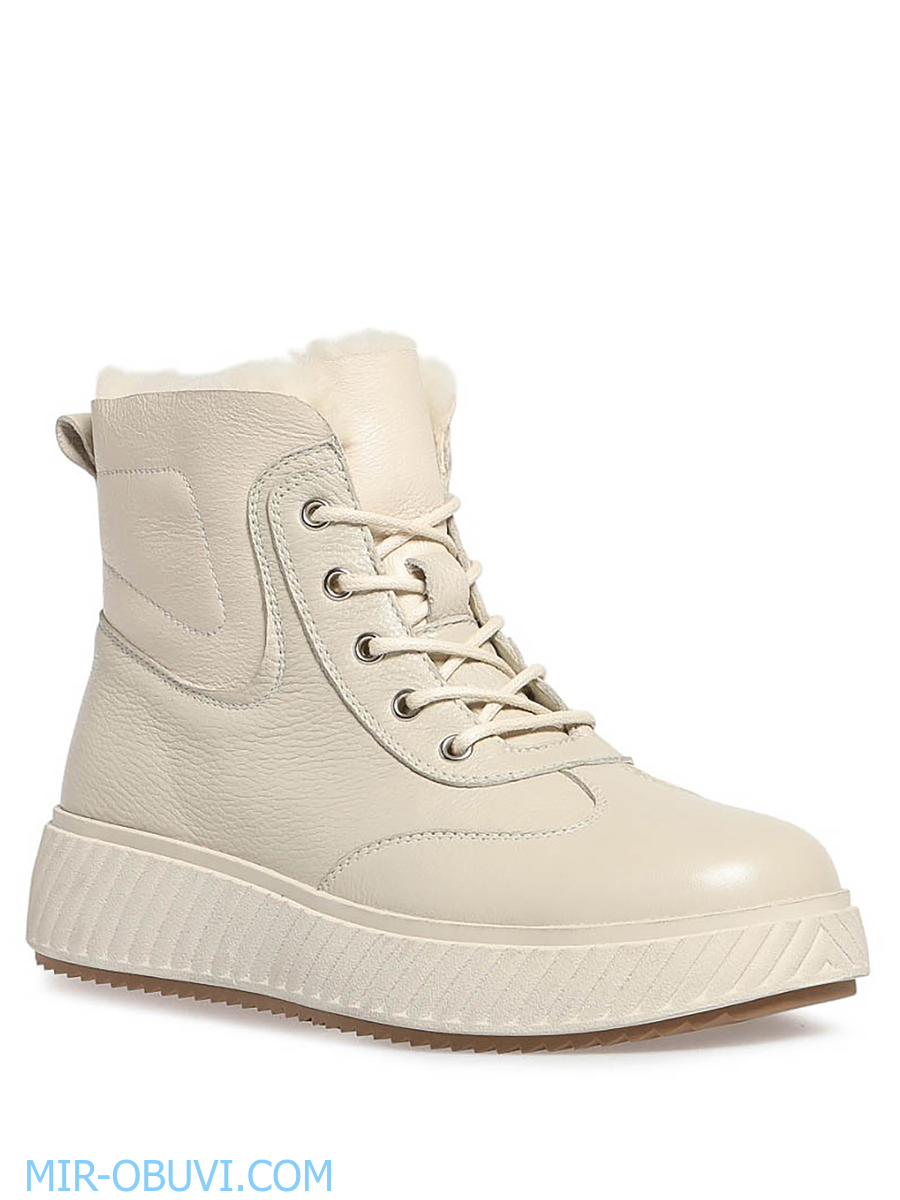 Ƴ���� ����� ����������� �������� Wollen. ��� 1.