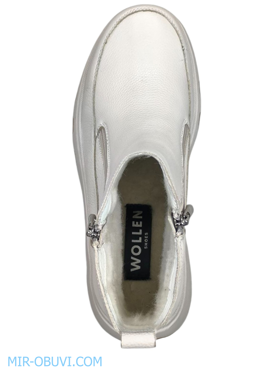 Ƴ���� ����� ����������� �������� Wollen. ��� 6.