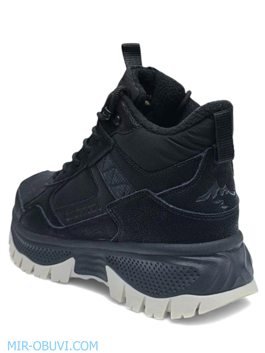 Ƴ���� ����� ��������� �������� Grunberg. ��� 10.