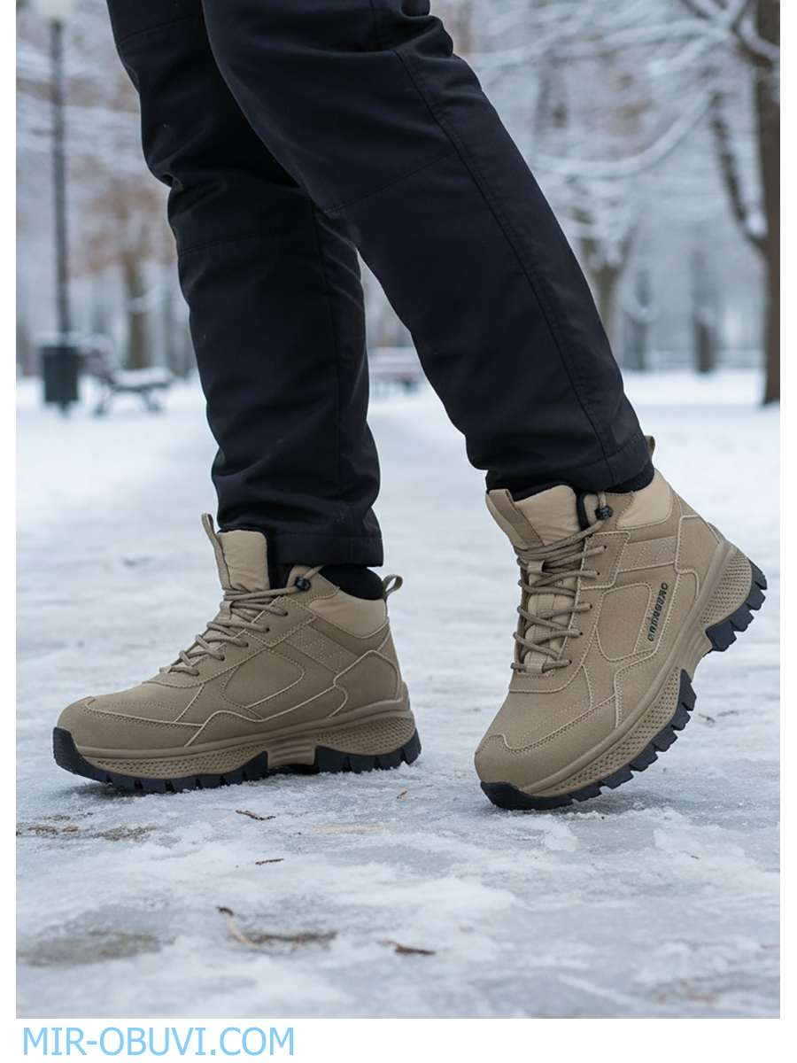 Ƴ���� ����� ��������� �������� Grunberg. ��� 12.