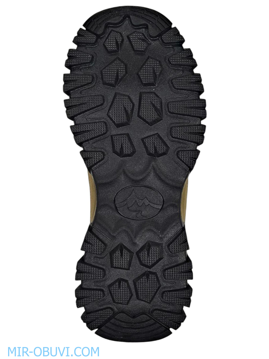 Ƴ���� ����� ��������� �������� Grunberg. ��� 5.