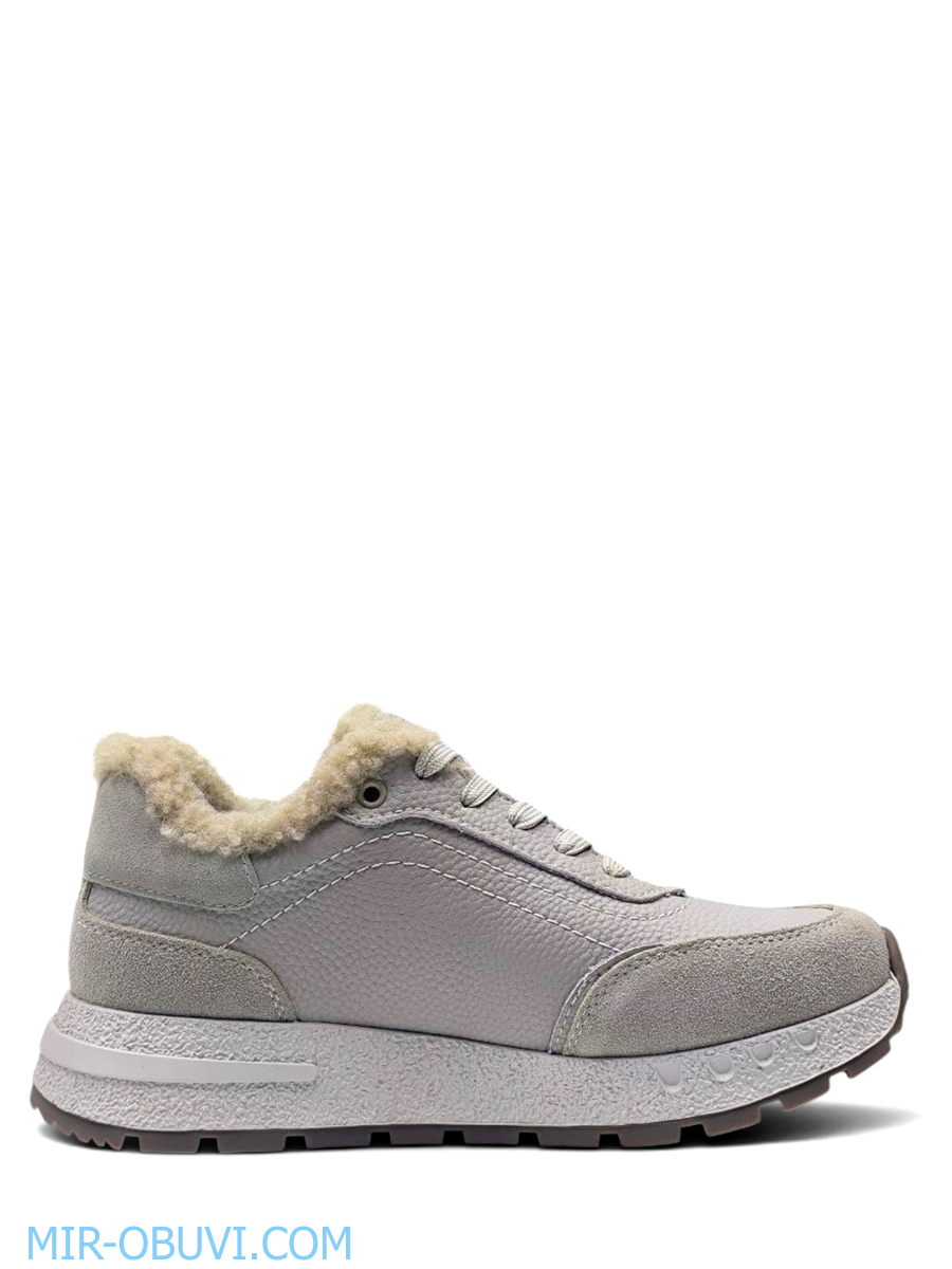 Ƴ���� ����� ��������� �������� Wollen. ��� 7.