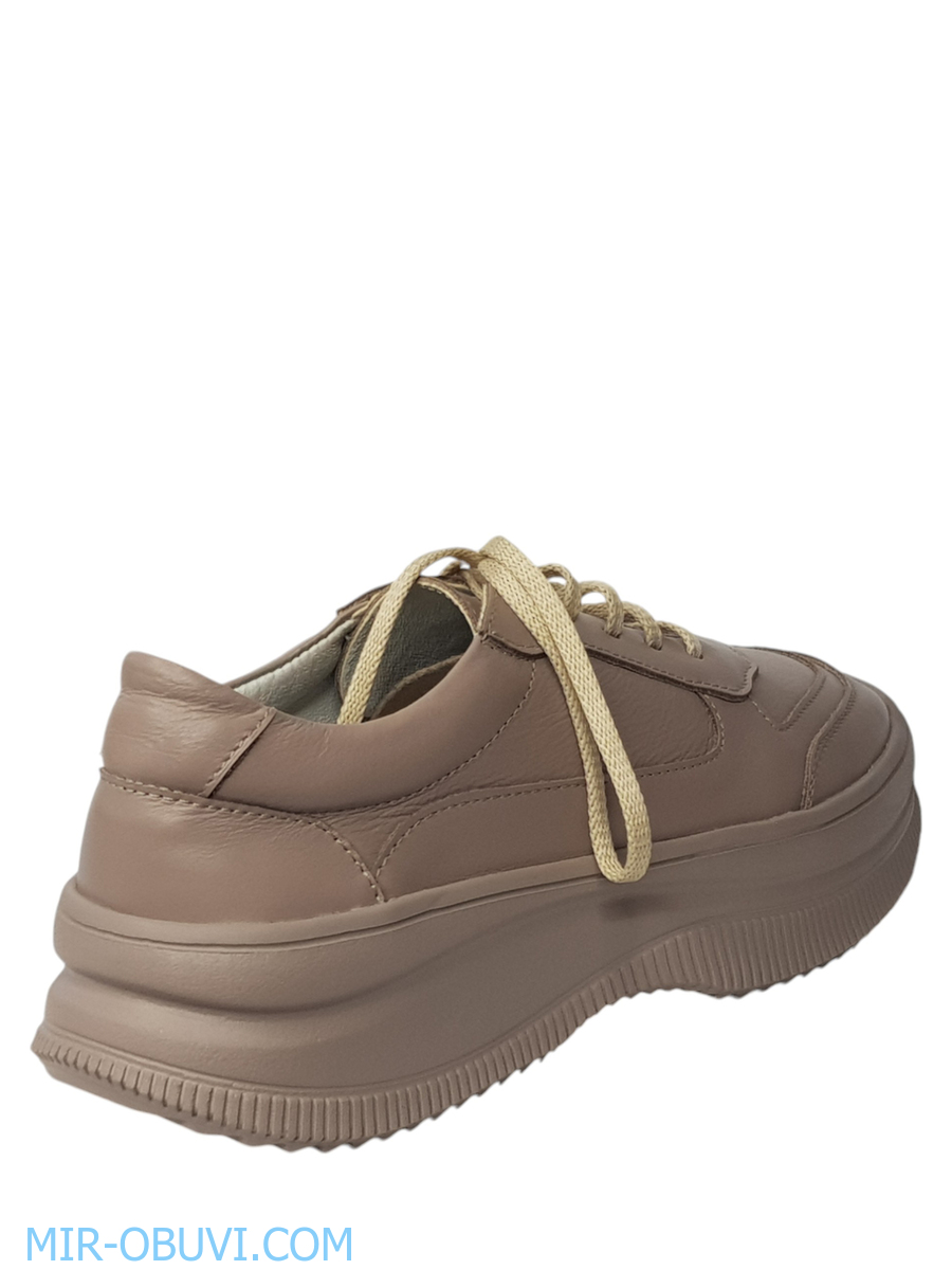 Ƴ���� ���������� ���� Larsena. ��� 4.