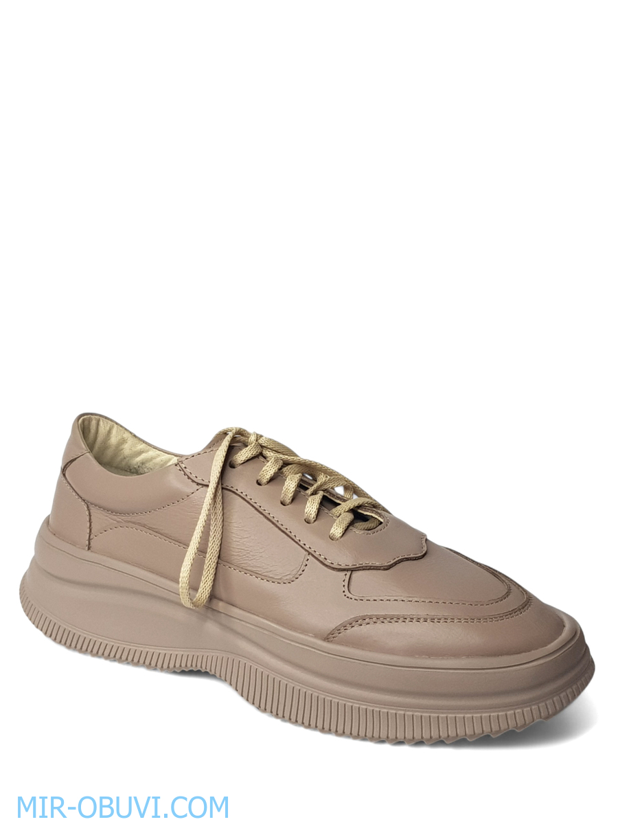 Ƴ���� ���������� ���� Larsena. ��� 1.