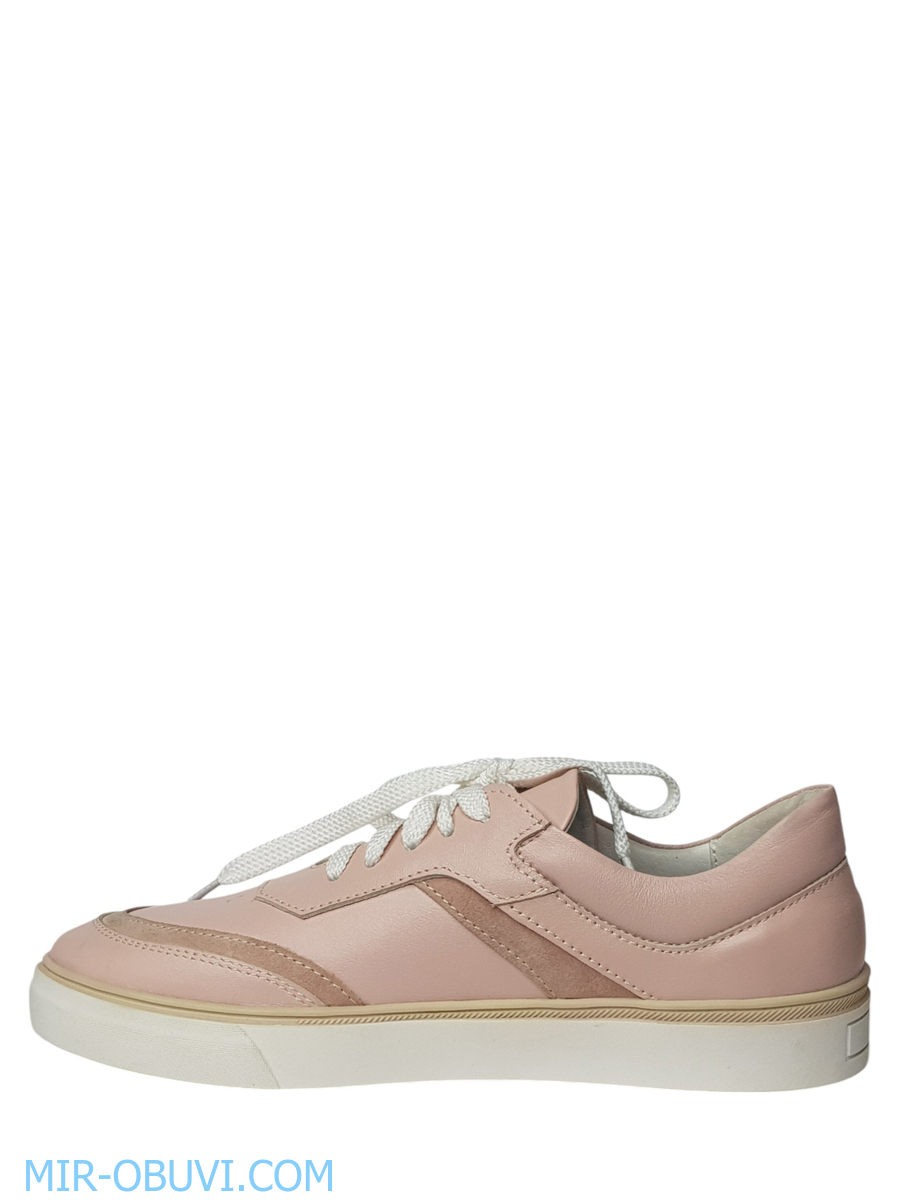 Ƴ���� ���������� ���� Larsena. ��� 8.