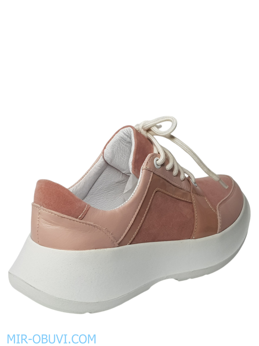 Ƴ���� ���������� ���� Larsena. ��� 6.