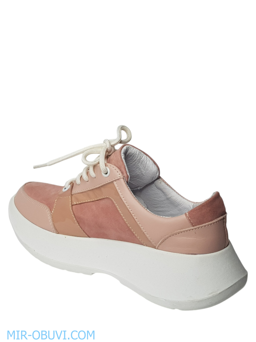 Ƴ���� ���������� ���� Larsena. ��� 7.