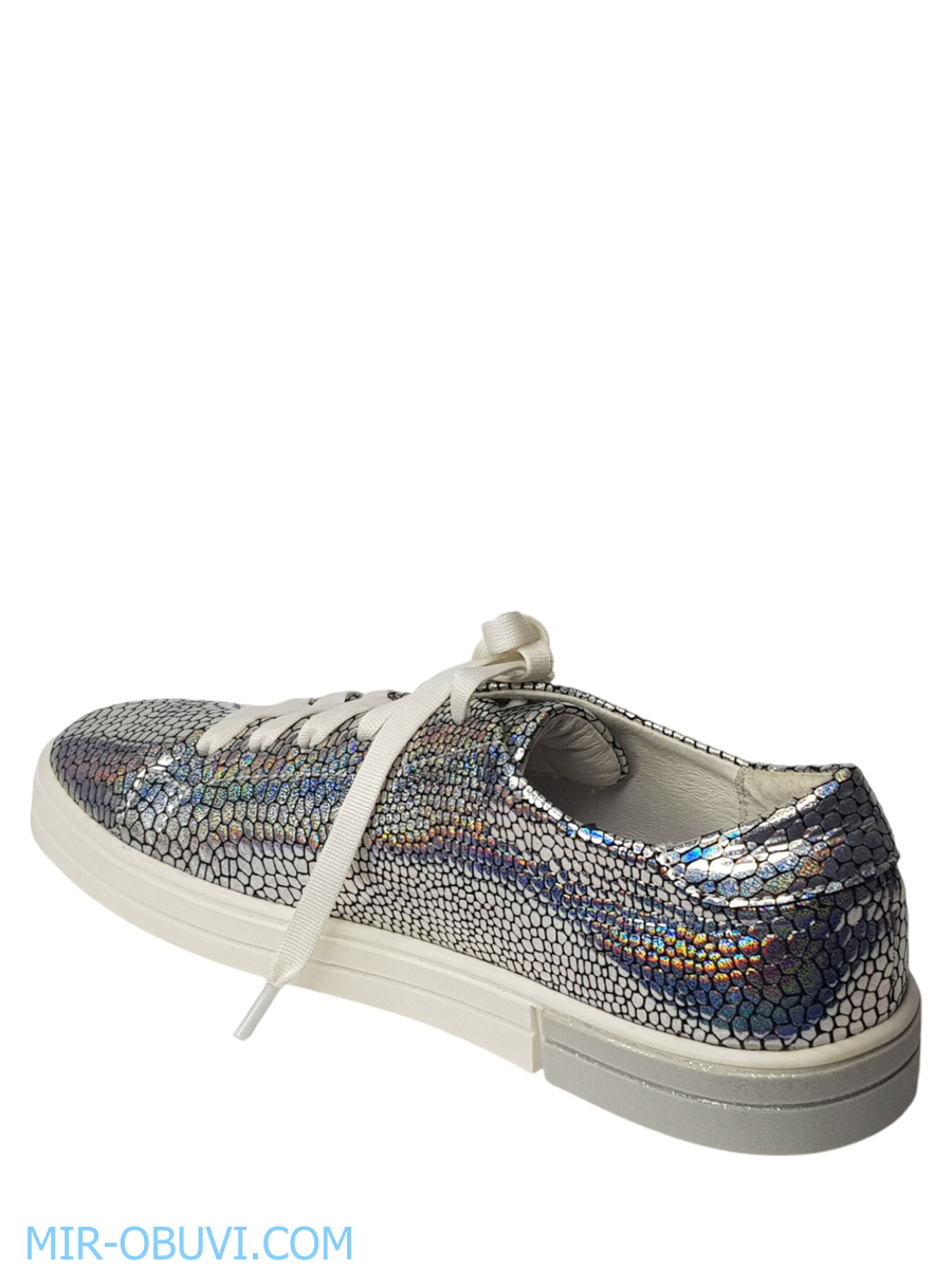 Ƴ���� ���������� ���� Larsena. ��� 5.