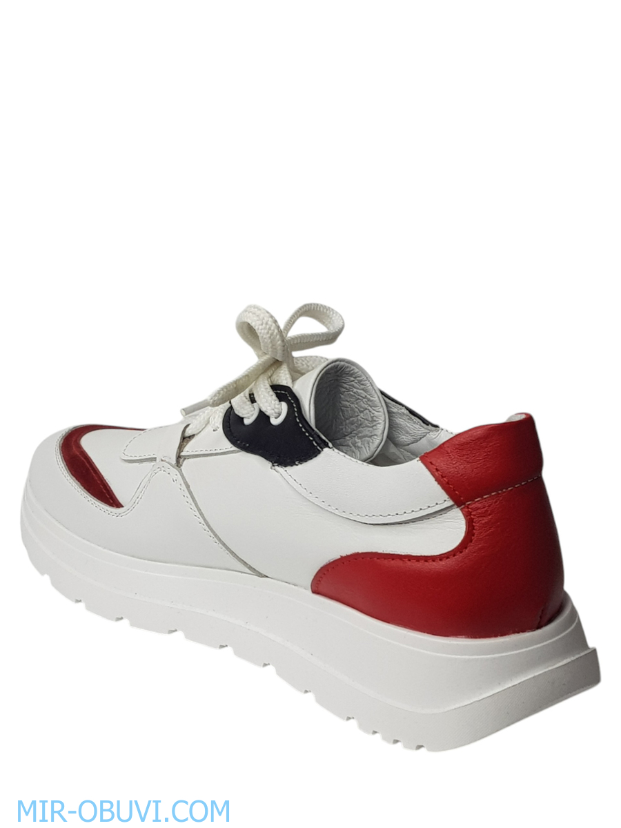 Ƴ���� ���������� ���� Larsena. ��� 5.