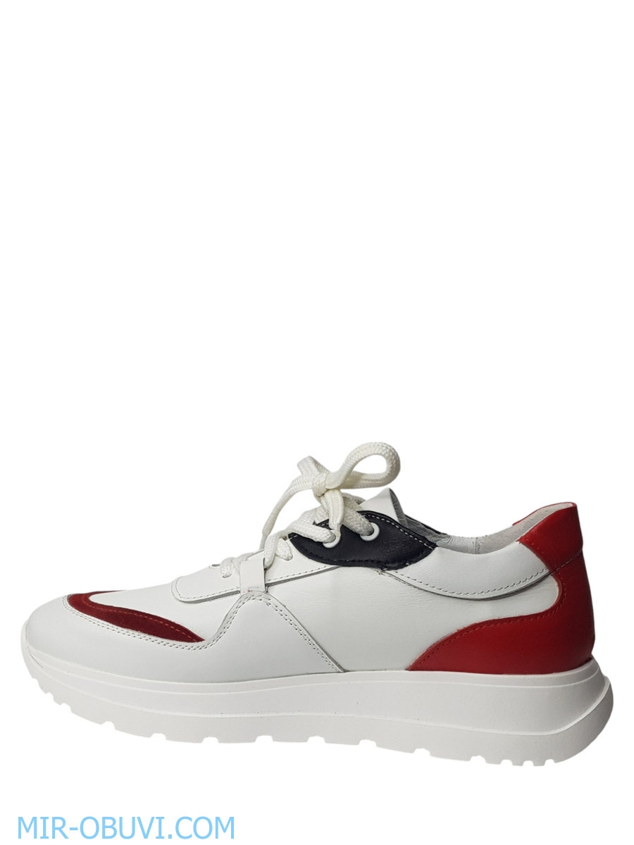 Ƴ���� ���������� ���� Larsena. ��� 6.