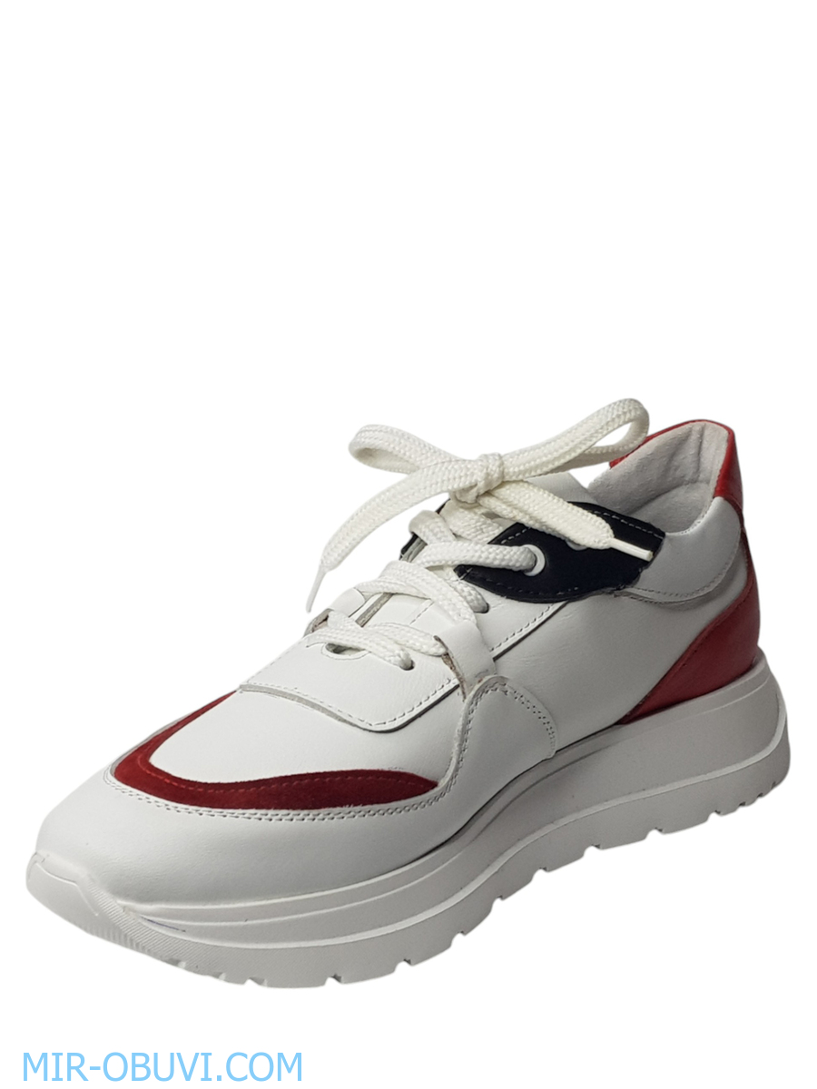 Ƴ���� ���������� ���� Larsena. ��� 7.