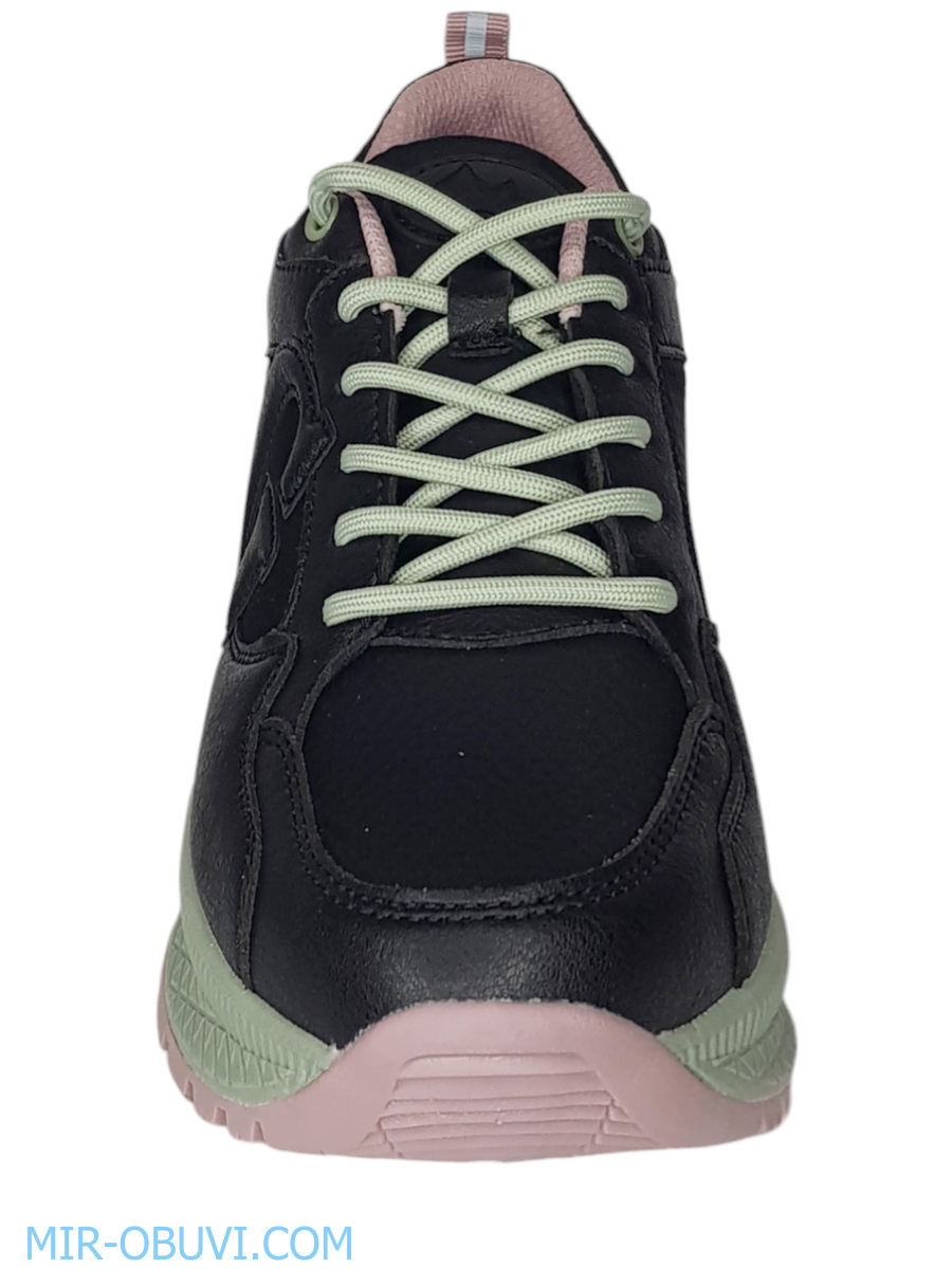 Ƴ���� ���������� ������� Grunberg. ��� 9.