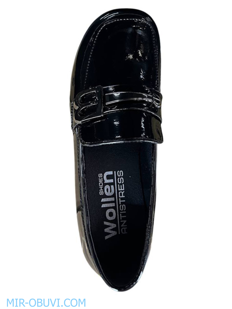 Ƴ���� ���������� �������� ���� Wollen. ��� 6.