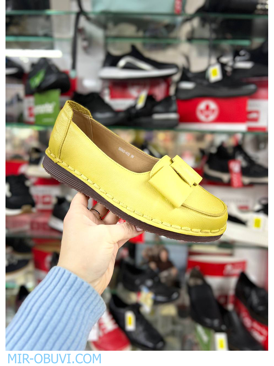 Ƴ���� ���������� �������� Wollen. ��� 12.