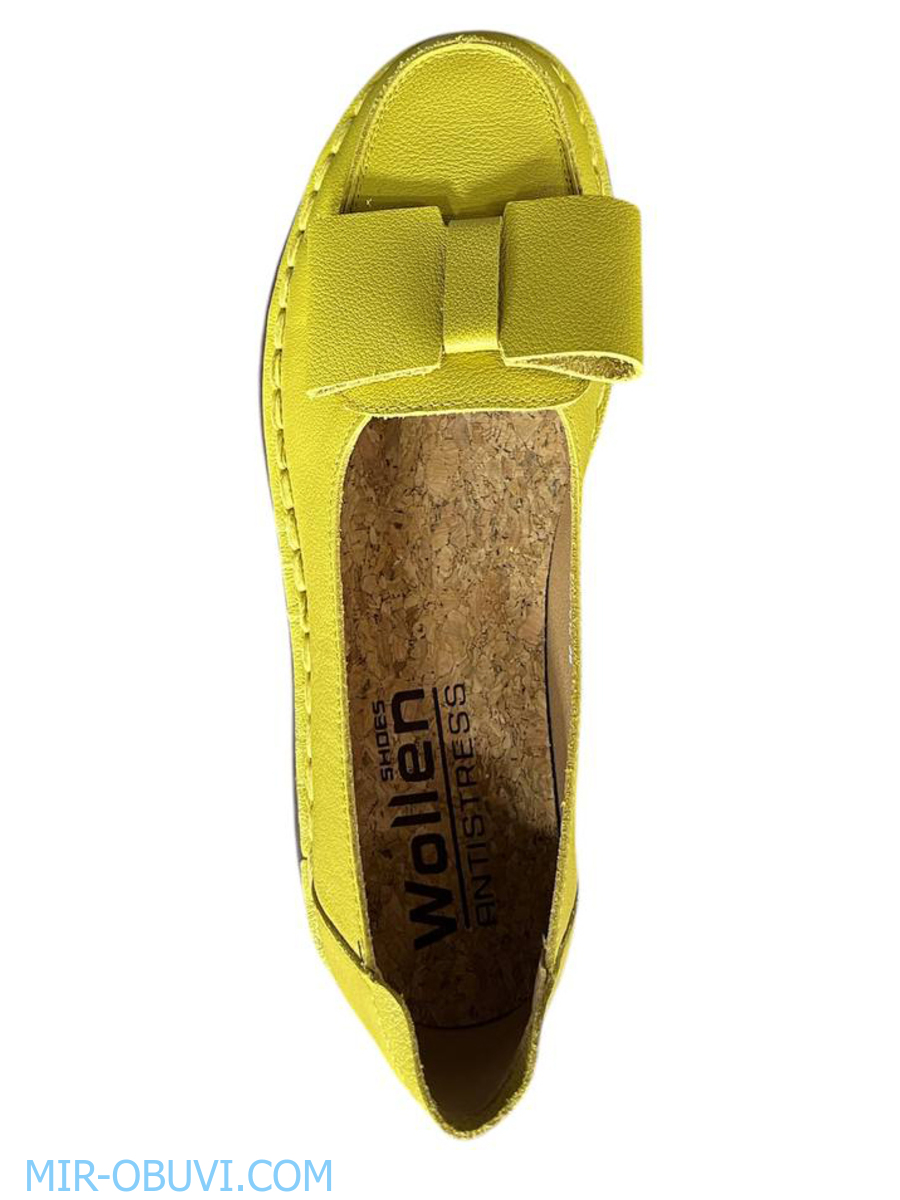 Ƴ���� ���������� �������� Wollen. ��� 6.