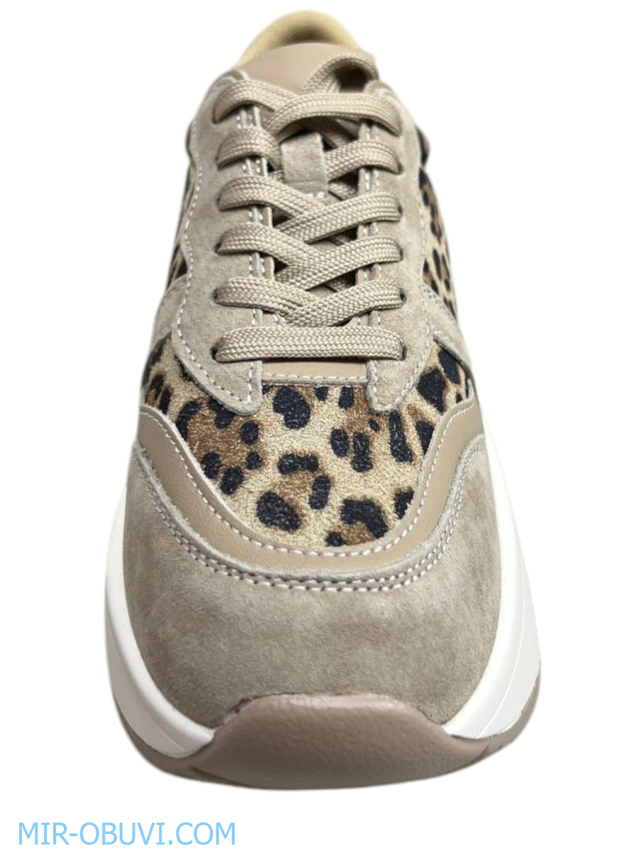 Ƴ���� ���������� ������� Wollen. ��� 11.