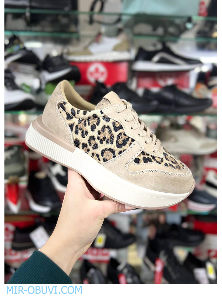 Ƴ���� ���������� ������� Wollen. ��� 14.