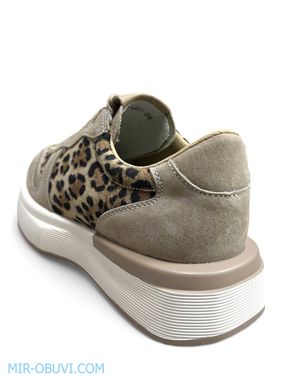 Ƴ���� ���������� ������� Wollen. ��� 2.